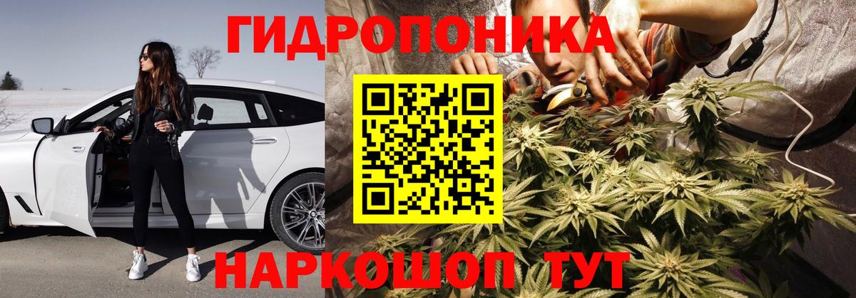 Канабис сатива  Вход с VPN  Марихуана ГИДРОПОН  Мурино  Марихуана White Widow 